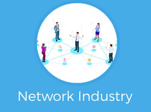 network industry