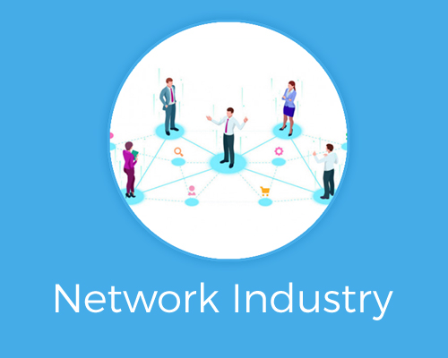 network industry