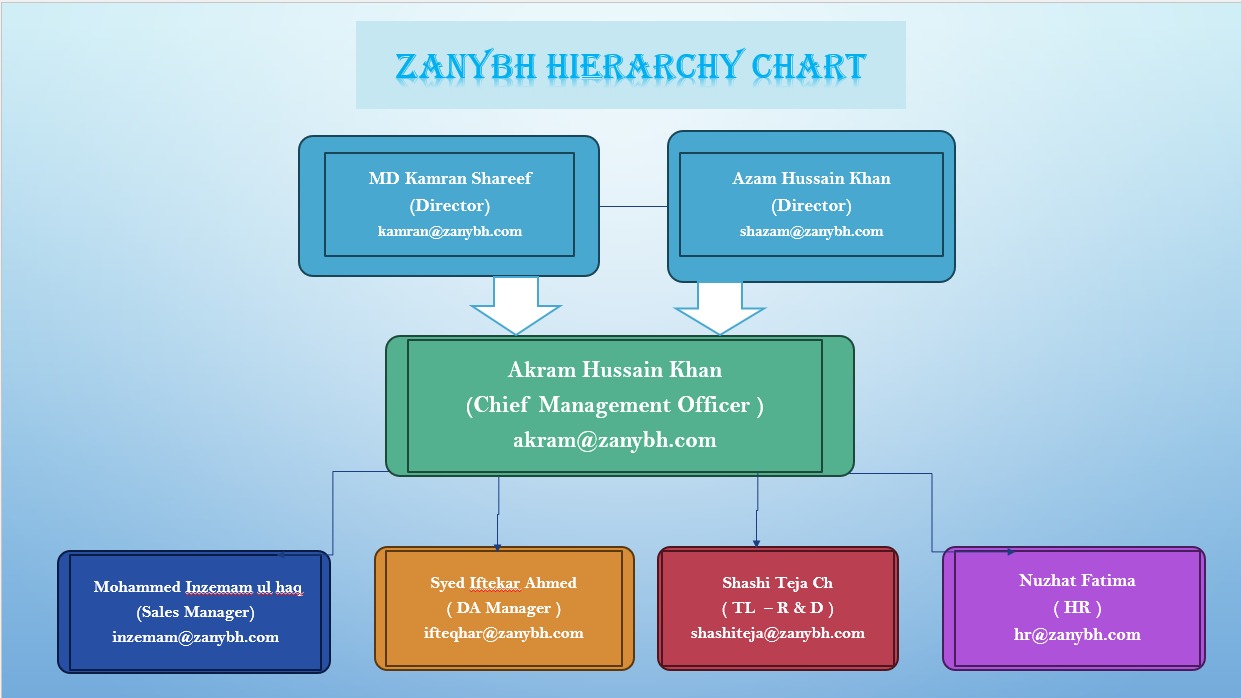 zanybh hierarchy chart